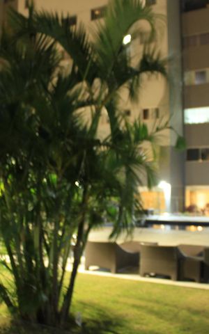 Apartamento para alugar com 54m², 2 quartos e 1 vagaÁrea comum - Piscina