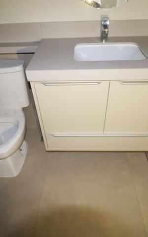 Apartamento para alugar com 53m², 1 quarto e 1 vagaBanheiro suite 