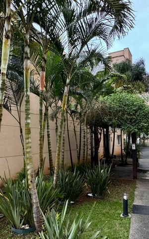 Apartamento para alugar com 70m², 3 quartos e 2 vagas Apartamento para alugar com 70m², 3 quartos e 2 vagasÁrea externa