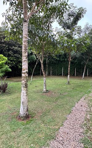 Apartamento para alugar com 70m², 3 quartos e 2 vagas Apartamento para alugar com 70m², 3 quartos e 2 vagasÁrea externa