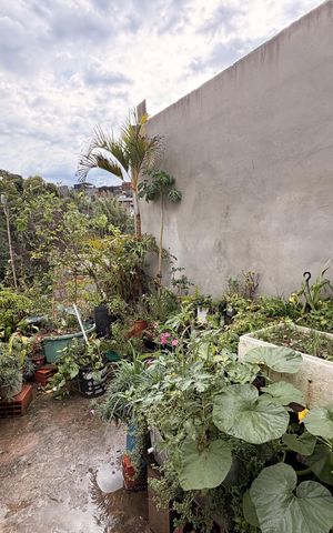 Casa à venda com 270m², 4 quartos e 2 vagasQuintal - Casa 2