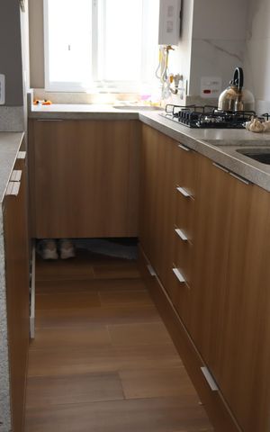 Apartamento para alugar com 40m², 2 quartos e sem vagaCozinha
