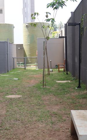 Apartamento para alugar com 40m², 2 quartos e sem vagaÁrea comum - Espaço Pet
