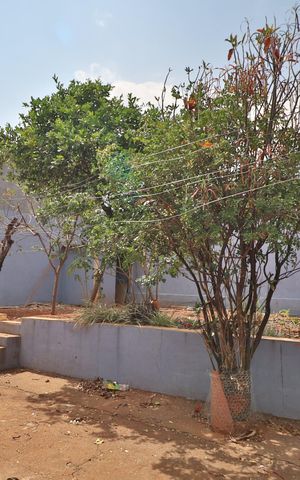 Casa para alugar com 130m², 3 quartos e 4 vagasQuintal