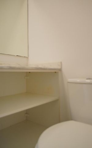Apartamento para alugar com 54m², 1 quarto e 2 vagasBanheiro da Suíte