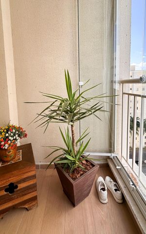 Apartamento à venda com 74m², 3 quartos e 2 vagas Apartamento à venda com 74m², 3 quartos e 2 vagasSacada