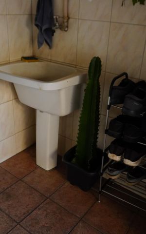 Casa à venda com 550m², 4 quartos e 5 vagasÁrea de Serviço