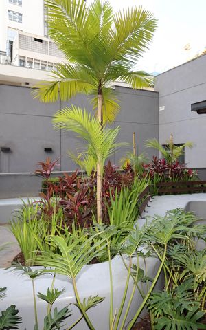 Studio à venda com 36m², 1 quarto e sem vagaÁrea comum