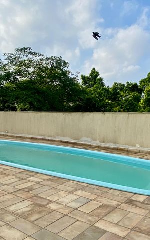 Apartamento para alugar com 90m², 3 quartos e 2 vagasPiscina