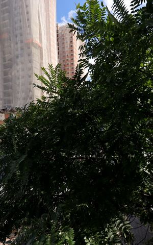 Apartamento à venda com 73m², 2 quartos e 1 vagaVista do Quarto