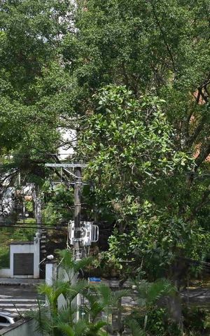 Apartamento à venda com 163m², 3 quartos e 3 vagasVista