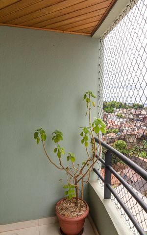 Apartamento para alugar com 68m², 3 quartos e 1 vagaVaranda