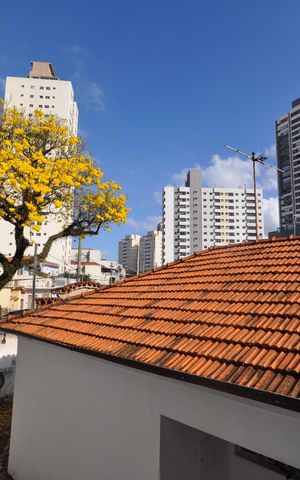Apartamento para alugar com 27m², 1 quarto e sem vagaVista do Quarto