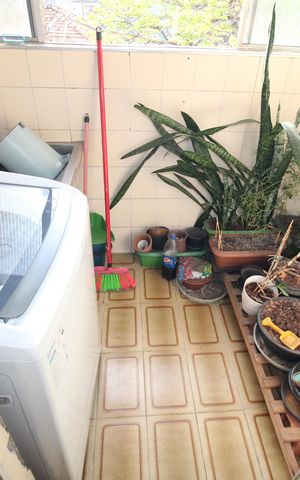 Apartamento à venda com 50m², 2 quartos e sem vagaÁrea de Serviço