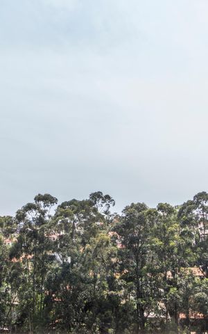 Apartamento para alugar com 122m², 2 quartos e 2 vagasVista