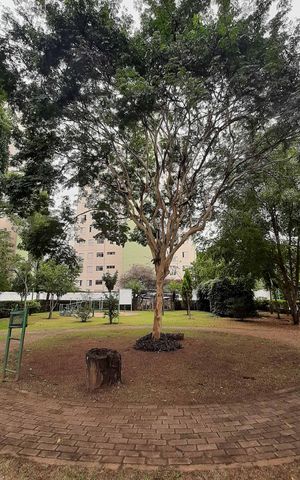 Apartamento à venda com 65m², 3 quartos e 1 vaga