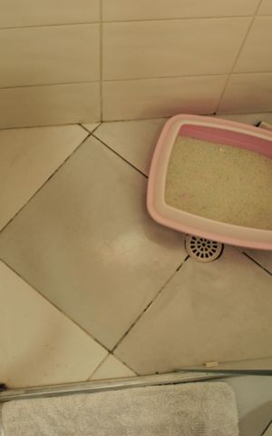 Apartamento à venda com 48m², 2 quartos e 1 vagaBanheiro