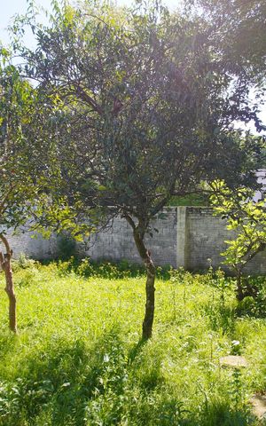 Casa para alugar com 174m², 3 quartos e 3 vagasvista do quarto 3