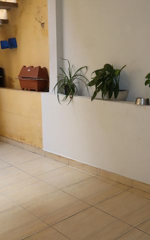 Casa para alugar com 80m², 2 quartos e 1 vagaÁrea de Serviço