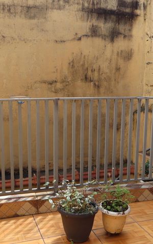 Casa para alugar com 80m², 2 quartos e 1 vagaÁrea externa