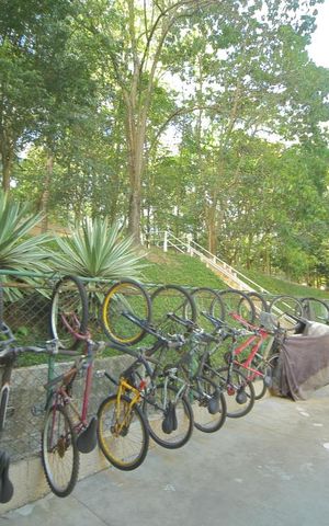Apartamento para alugar com 60m², 2 quartos e 1 vagaÁrea comum - Bicicletário 