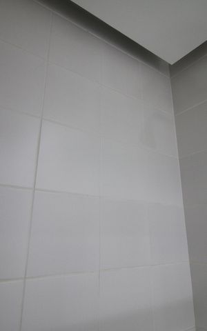 Apartamento para alugar com 77m², 3 quartos e 1 vagaBanheiro