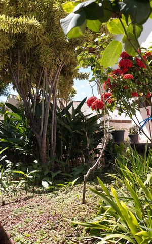 Casa para alugar com 101m², 2 quartos e 1 vagaGaragem - Jardim