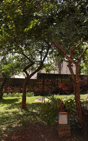 Casa para alugar com 101m², 2 quartos e 1 vagaQuintal