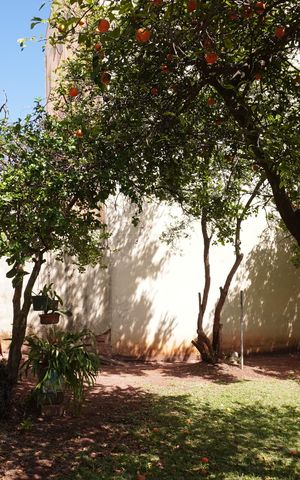 Casa para alugar com 101m², 2 quartos e 1 vagaQuintal