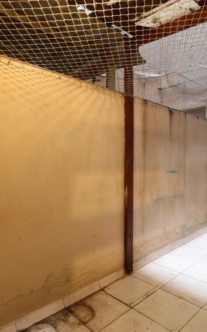 Apartamento à venda com 281m², 4 quartos e 2 vagasQuintal 