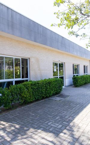 Apartamento para alugar com 59m², 2 quartos e 1 vaga Apartamento para alugar com 59m², 2 quartos e 1 vagaÁrea comum - Academia