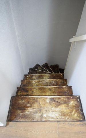 Apartamento para alugar com 54m², 2 quartos e 2 vagasAcesso ao piso inferior