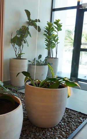 Apartamento para alugar com 107m², 3 quartos e 2 vagasÁrea comum - Hall entrada