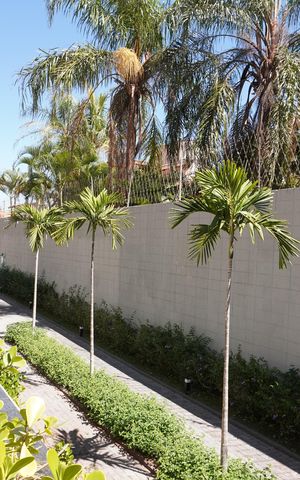 Apartamento para alugar com 107m², 3 quartos e 2 vagasÁrea comum