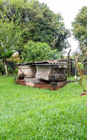 Casa à venda com 206m², 3 quartos e 5 vagasÁrea Verde com árvores frutífuras