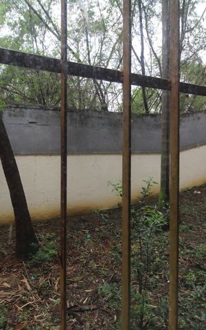Apartamento à venda com 52m², 2 quartos e 1 vagaVista da sala