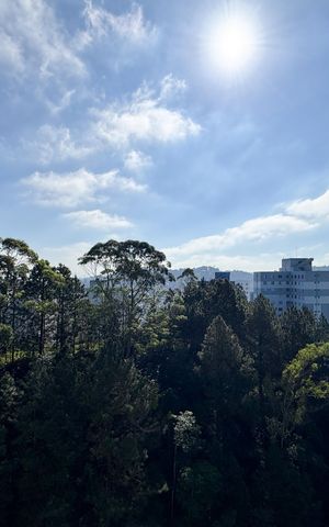 Apartamento à venda com 50m², 2 quartos e 1 vaga Apartamento à venda com 50m², 2 quartos e 1 vagaVista - Quarto 2