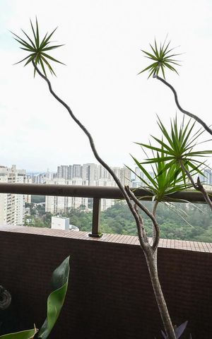 Apartamento à venda com 98m², 1 quarto e 2 vagasVaranda 1 da Suíte 1