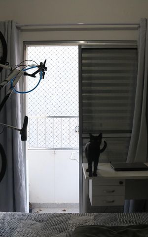 Apartamento para alugar com 78m², 2 quartos e sem vagaQuarto 2