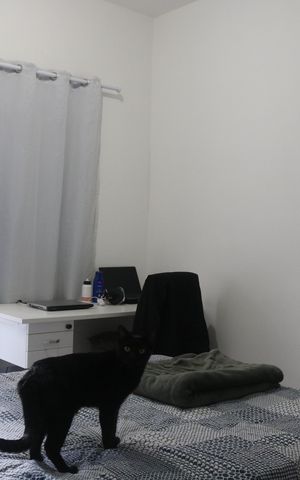 Apartamento para alugar com 78m², 2 quartos e sem vagaQuarto 2