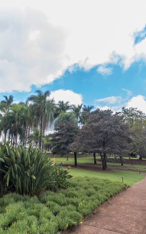 Casa de condomínio para alugar com 560m², 6 quartos e 4 vagasÁrea comum