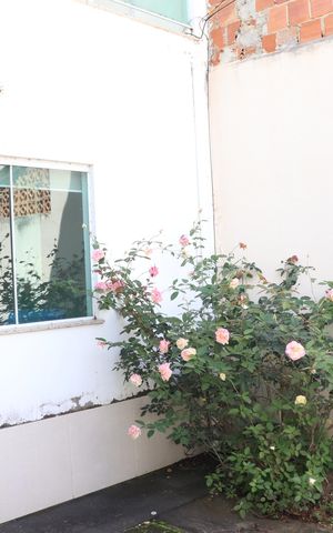 Casa para alugar com 106m², 3 quartos e 1 vagaGaragem