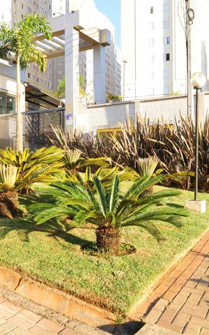 Apartamento à venda com 42m², 2 quartos e sem vagaPlaca GRANDE instalada na fachada do condomínio, dia 03.09.2026 - Código da placa: GOAV-124