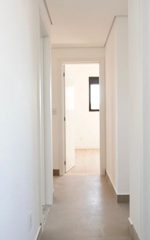 Apartamento à venda com 255m², 3 quartos e 2 vagasCorredor 