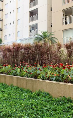 Apartamento à venda com 84m², 2 quartos e 1 vagaÁrea comum