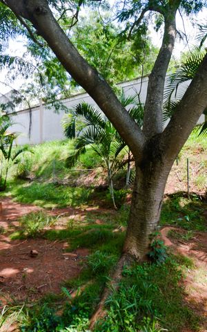 Apartamento para alugar com 40m², 2 quartos e 1 vagaEspaço Pet