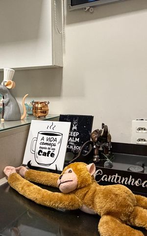 Studio para alugar com 29m², 1 quarto e sem vagaCozinha