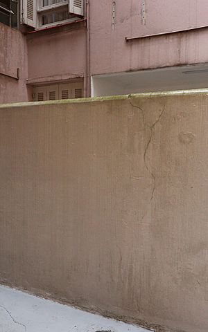 Apartamento à venda com 64m², 2 quartos e sem vagaQuintal