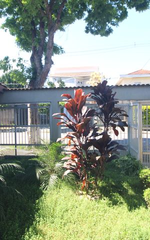 Casa para alugar com 200m², 3 quartos e 3 vagasJardim / frente da casa