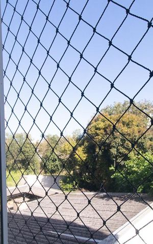 Apartamento para alugar com 60m², 2 quartos e 1 vagaVista do Quarto 1